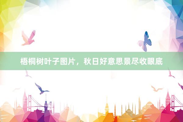梧桐树叶子图片，秋日好意思景尽收眼底
