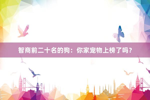 智商前二十名的狗：你家宠物上榜了吗？