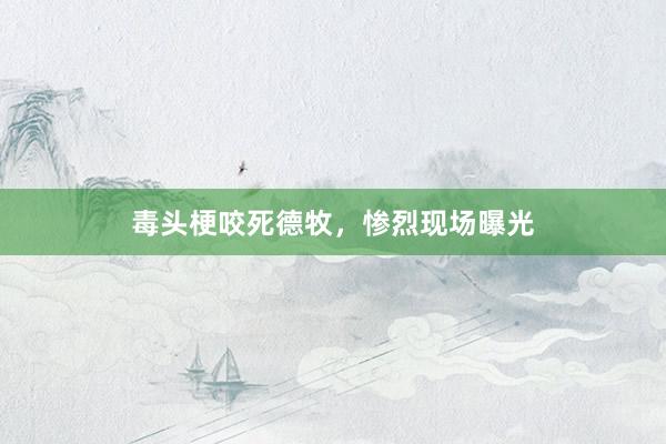 毒头梗咬死德牧，惨烈现场曝光